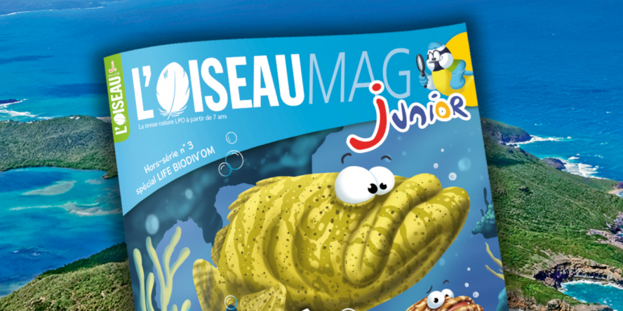 couverture L'OISEAU MAG Junior - Hors série n°3